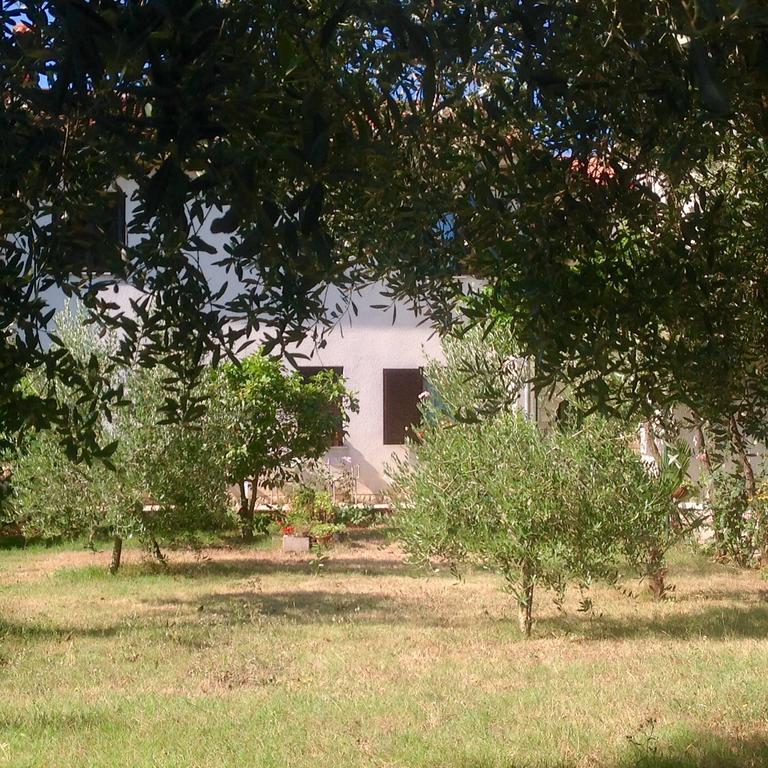 Apartman Milena Pula Exterior photo